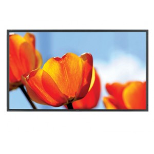 NEC P551 Multisync 55" LCD