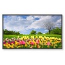 NEC X462HB 46" Commercial LCD