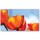 NEC X551UN 55" Ultra Narrow Bezel Commercial LCD