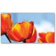 NEC X551UN 55" Ultra Narrow Bezel Commercial LCD